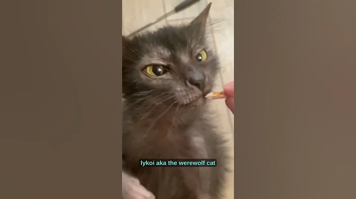 Watch the video about What even is that!