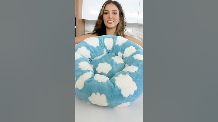 I Bought The Viral TikTok Dog Bed