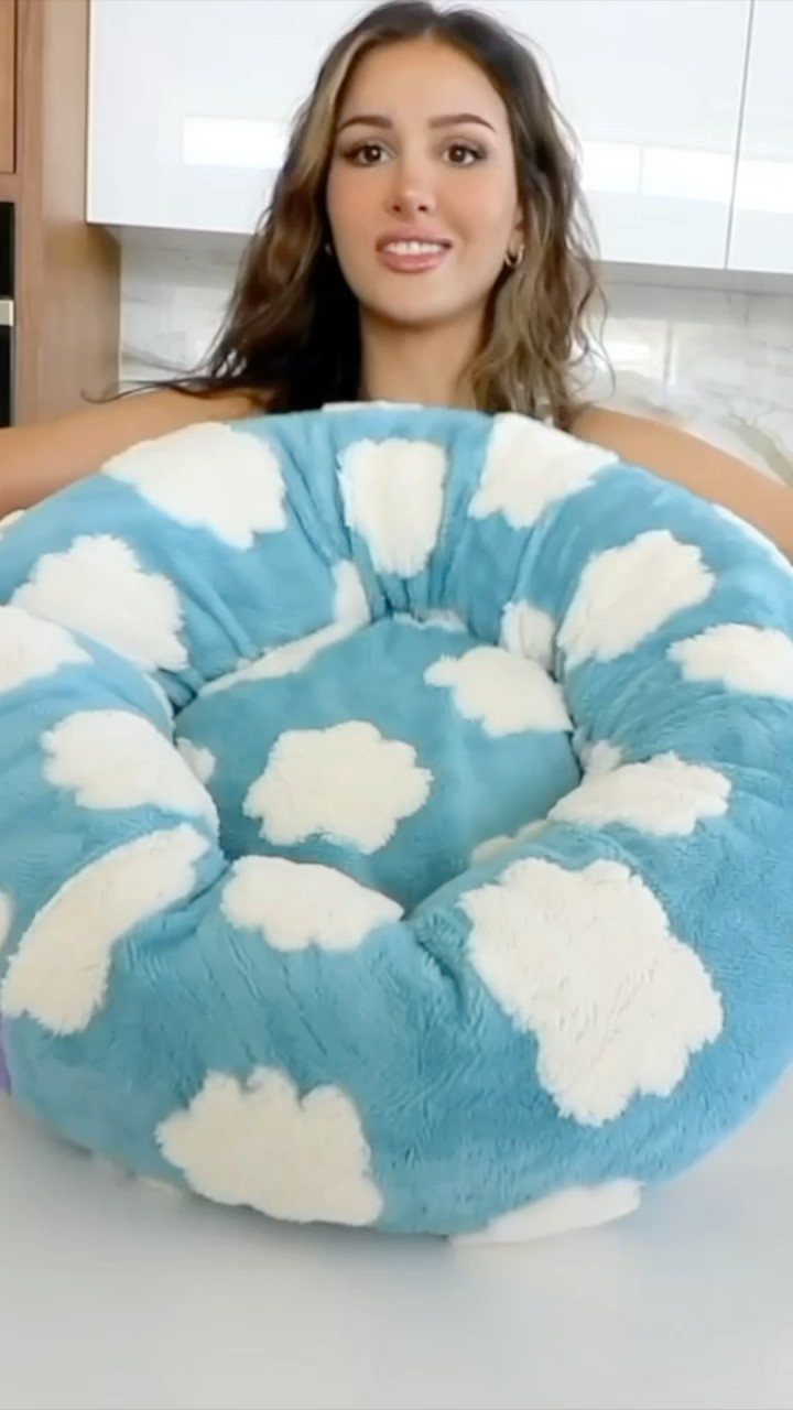 I Bought The Viral TikTok Dog Bed