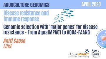 FROM AQUAIMPACT TO AQUA-FAANG – Antti Kause – AQUACULTURE GENOMICS webinar series APRIL 2023
