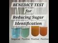 Test for reducing sugar using Benedicts soln. #experiment #science #bsc #trending #chemistry #cbse