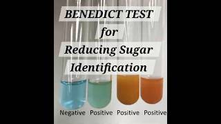 Test for reducing sugar using Benedicts soln. #experiment #science #bsc #trending #chemistry #cbse