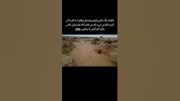 جزء من سورة يوسف بتلاوة عطرة من مأمون الثائب #تيك_توك