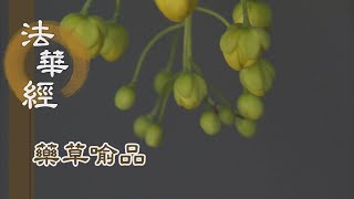 【靜思妙蓮華】法華經藥草喻品 - 破有法王 出現世間 - 20210713 第896集