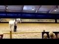 Clinic Frederic Pignon - Horse Event Deurne