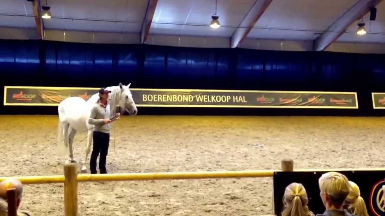 Clinic Frederic Pignon - Horse Event Deurne