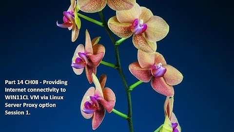Part 14 CH08 - Providing Internet connectivity to WIN11CL VM via Linux Server Proxy option Session 1