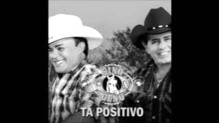 Tá Positivo - Gino e Geno (Nova Música - Janeiro 2015)