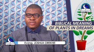 BIBLICAL MEANING OF PLANTS IN DREAMS - Dream About Plants