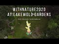 Withnature2020 at lakewold gardens  the golden paintbrush