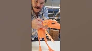 New puppet build video! find the link in our profile ⚒️ #puppet #bird #3dprint #puppetry #design
