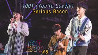 1001 (You're Lovely) - Serious Bacon [Cat Expo 8: 8 May 2022]