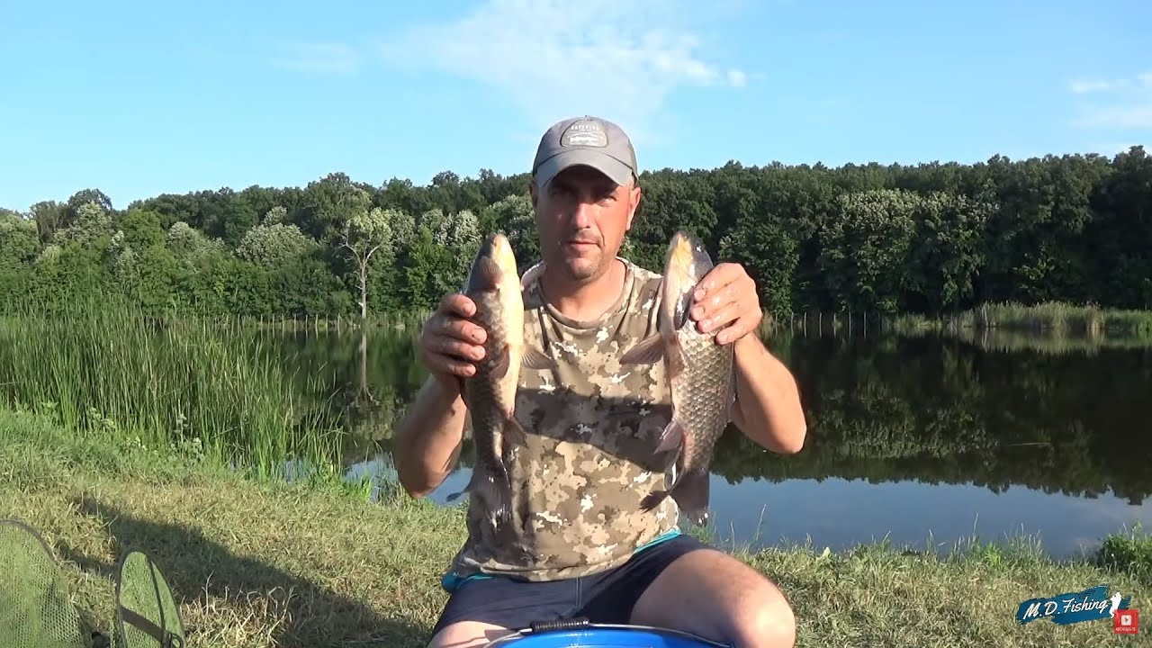 AM PRINS MAI MULTI CARASI SALBATICI,PE BALTA VALEA VLASIEI