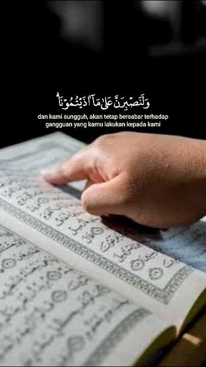 Surah Ibrahim #quranpak #religion #whatsappstatus #quran #status #islam #tilawat #tilawah #shorts