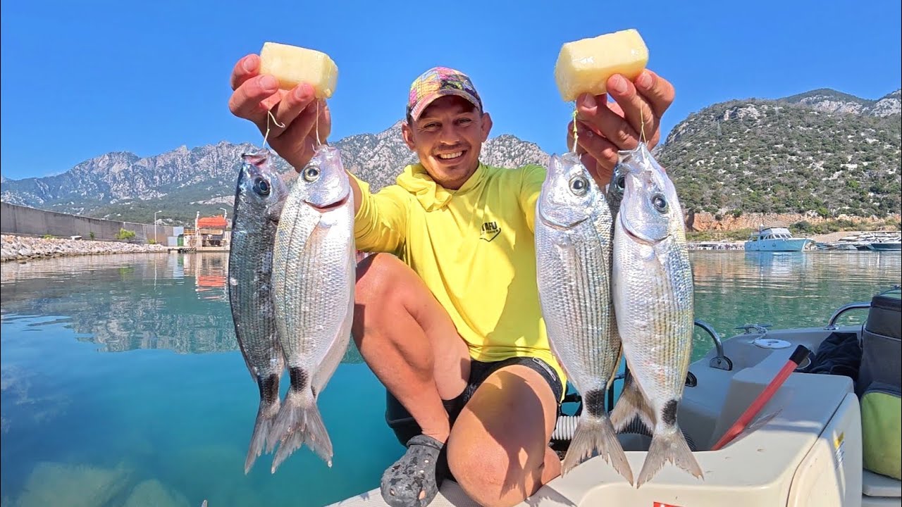 Bomba ile Melanur Avladık Pişirdik Yedik Her Atış Bir Balık!