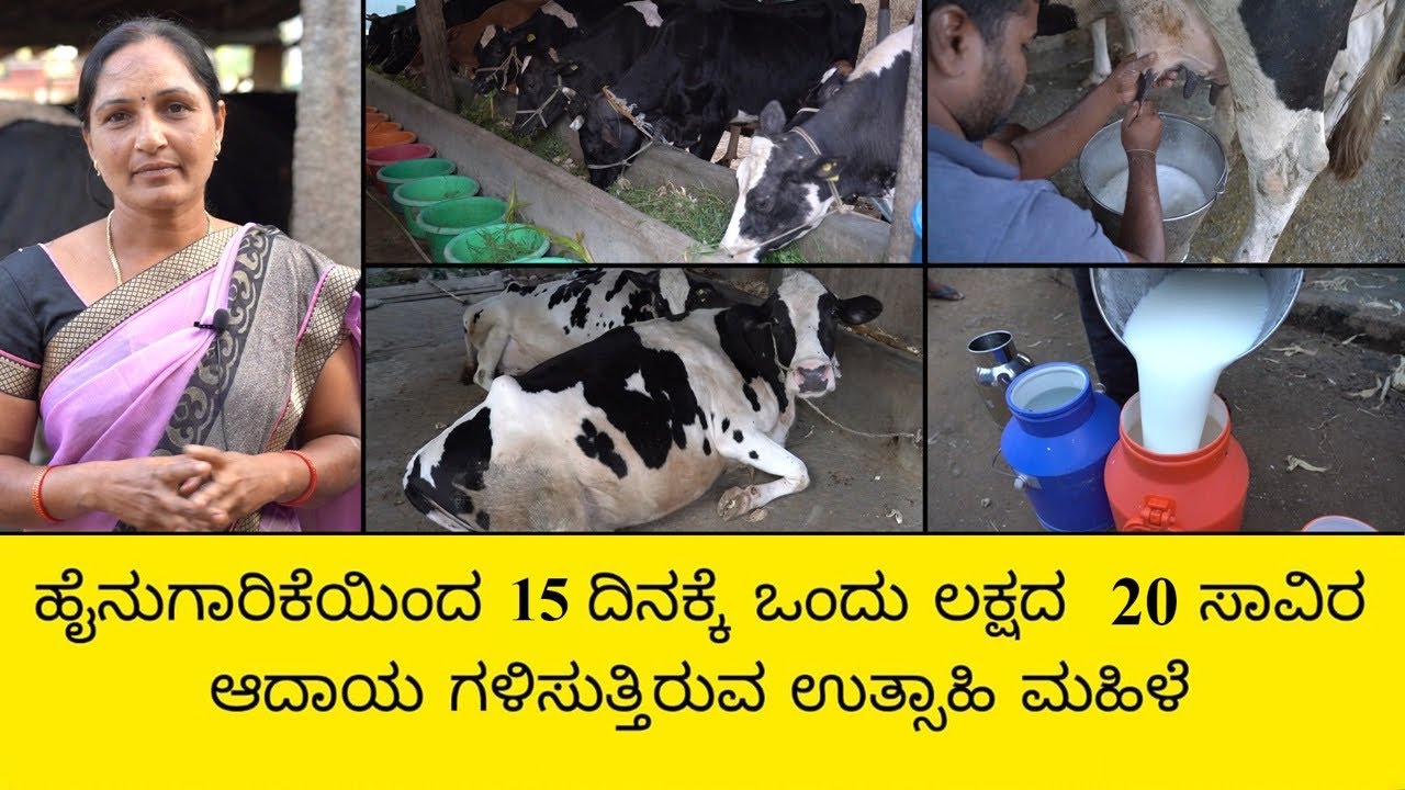 ಹೈನುಗಾರಿಕೆಯಿಂದ 15 ದಿನಕ್ಕೆ ಒಂದು ಲಕ್ಷದ 20 ಸಾವಿರ ಆದಾಯ ಗಳಿಸುತ್ತಿರುವ ಉತ್ಸಾಹಿ ಮಹಿಳೆ