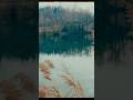 Is this the BEST 16mm film emulation? #fujifilm #shorts #subscribe
