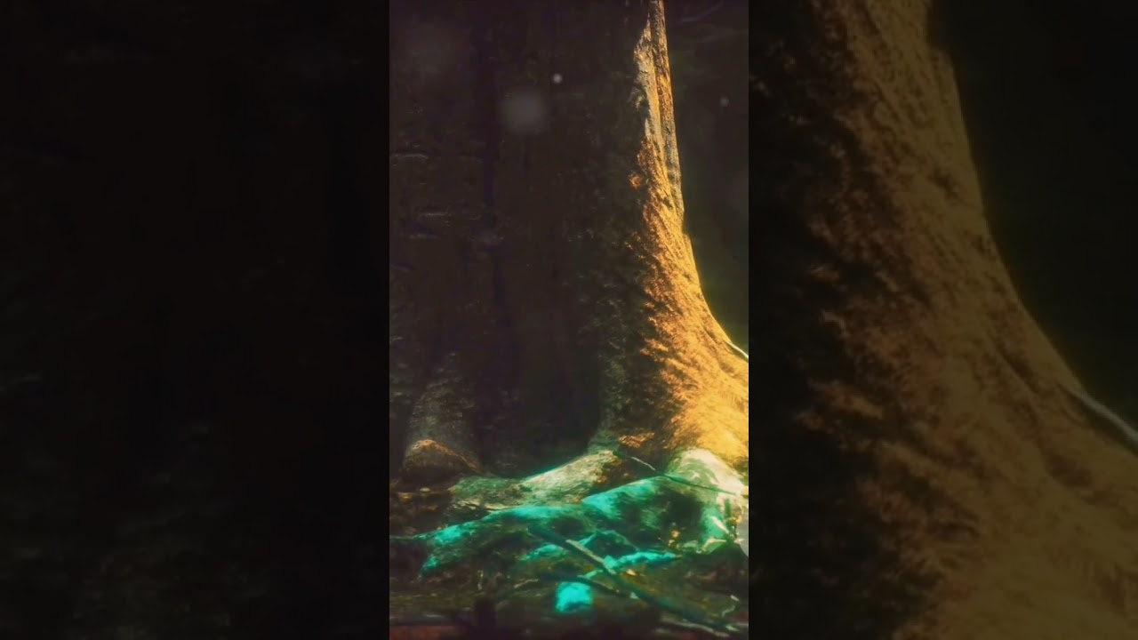 The hidden world beneath your feet