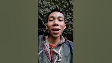 sủa nguồn nước mạch trong rừng #shortvideo