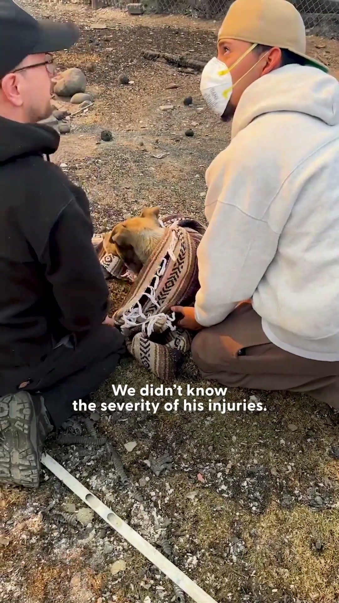 Dog Rescued From Rubble Gets Reunited With Owner | The Dodo