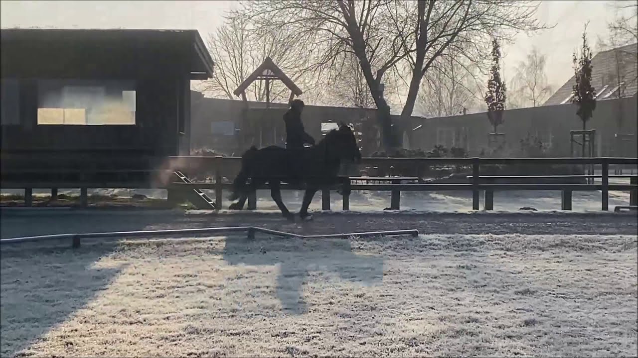 Náttrún vom Kronshof