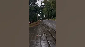 عبدالرحمن الحميداني 