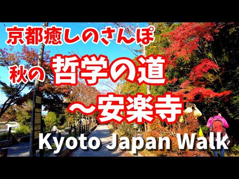 京都紅葉散策🍁哲学の道～安楽寺を歩く🍁Kyoto Japan walk!