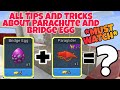 Everything You Need To Know About "Parachute + Bridge Egg"