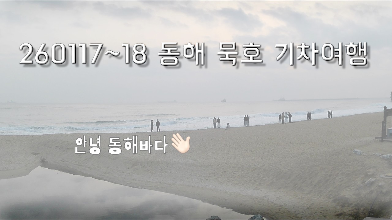 260117 동해 묵호 기차여행