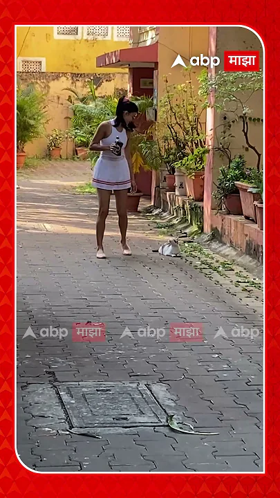 Jacqueline Fernandez Cat Love | जॅकलीनचं Cat Love! पाहा काय केलं?