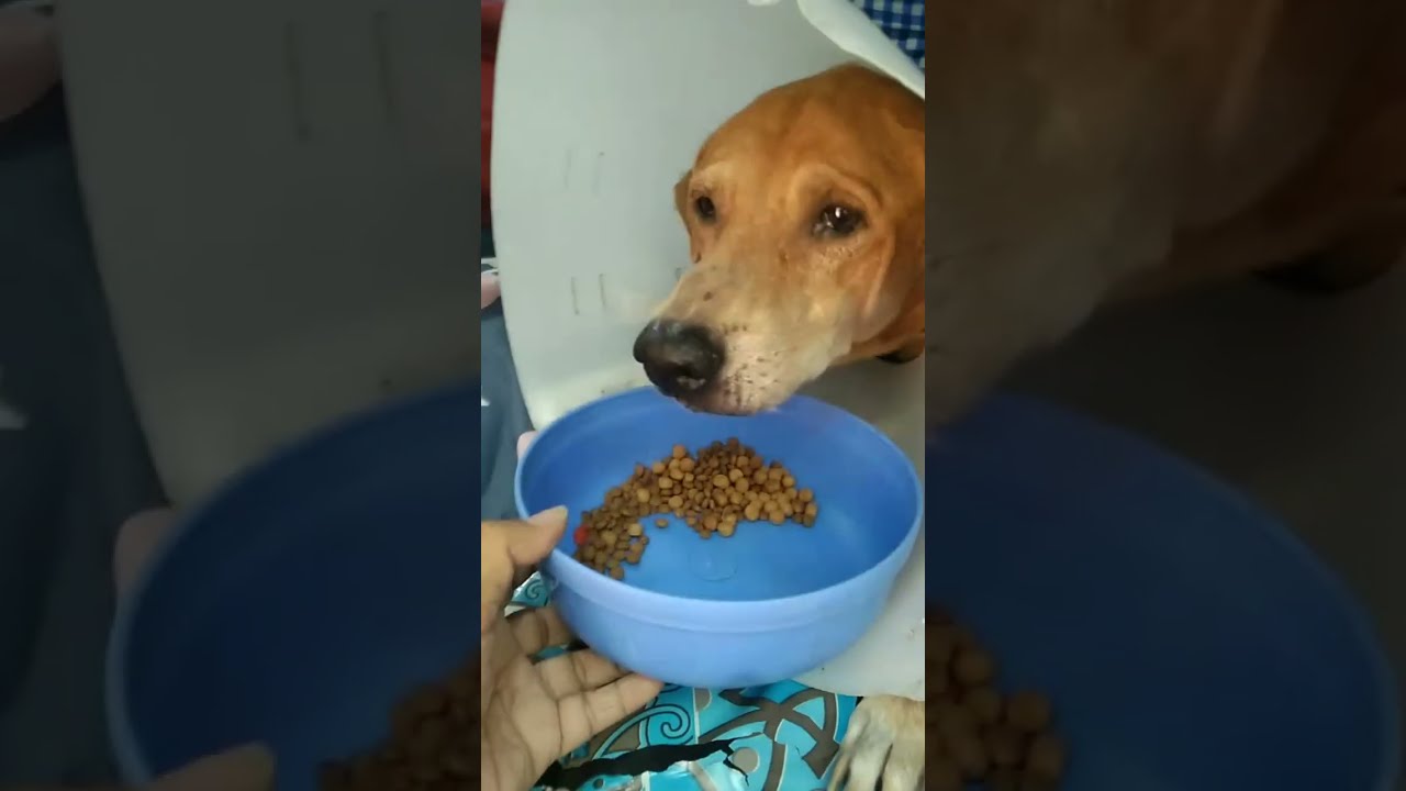 ครอบครัวตัวสลิด กำลังถ่ายทอดสด!