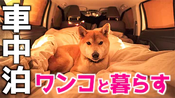 犬と車中泊 Mp3