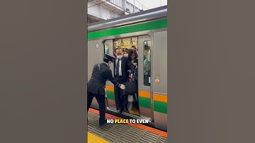 Train Pushers in Japan 🤯