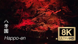 Tokyo Red Garden - Happo-En - 8K Ultra HD