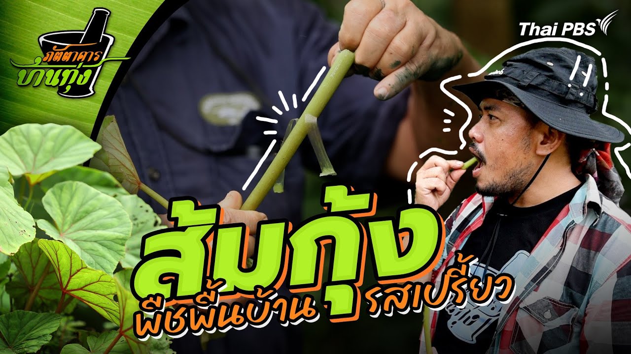 ส้มกุ้ง | ภัตตาคารบ้านทุ่ง