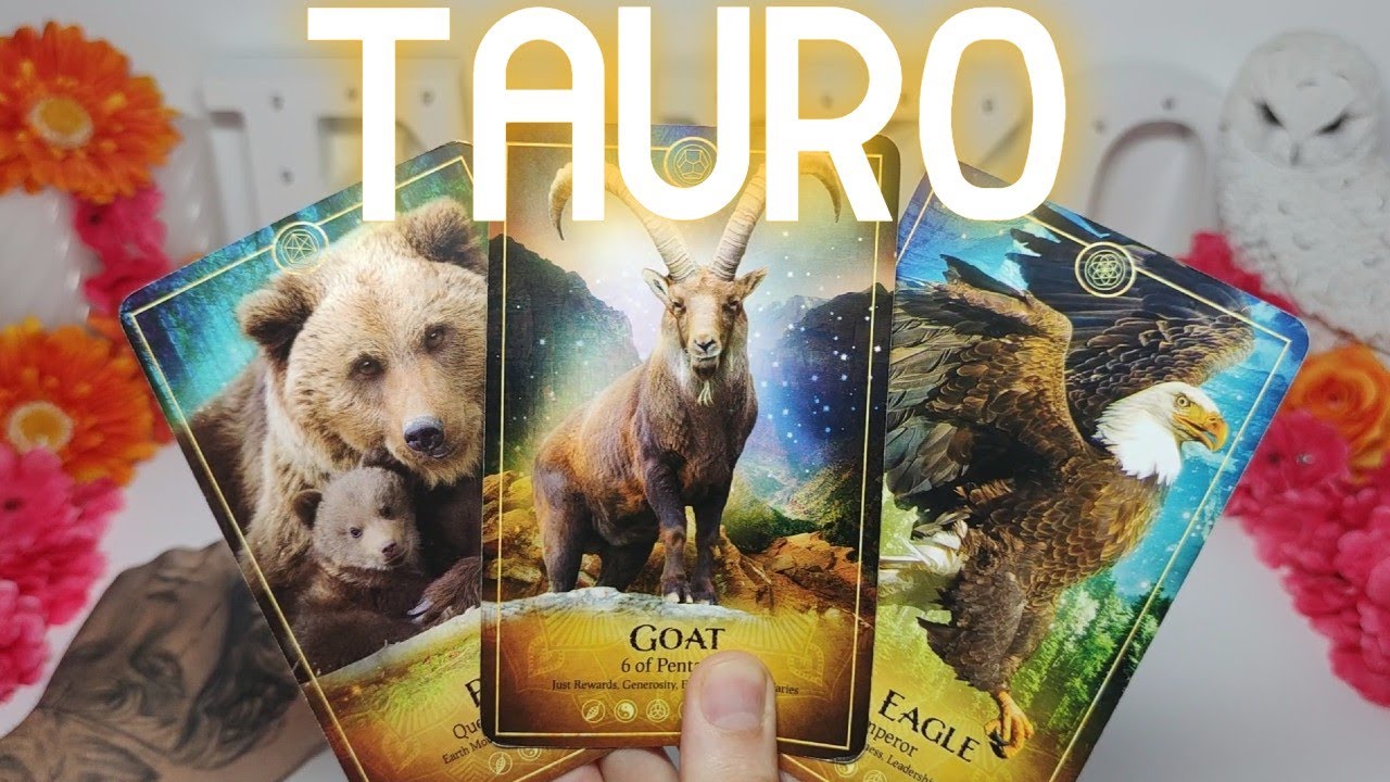 TAURO ♉️ PREPARATE PORQUE ALGUIEN TE CAMBIA LA VIDA ️😱 GIRO TOTAL 💫 ...