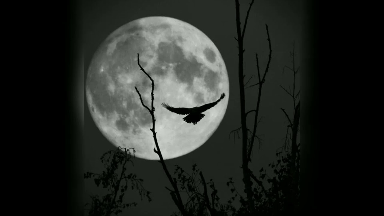 [FREE] HIP HOP UNDERGROUND BEAT - Buscandote - BOOMBAP RAP INSTRUMENTAL (Prod. Rafunky)