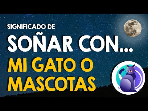 ¿Qué significa soñar con mi gato? 🐱 La verdad de los sueños con mascotas 🐱