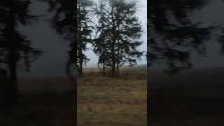 Village winter