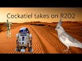 Unusual Things  -  Cockatiel impersonates R2D2