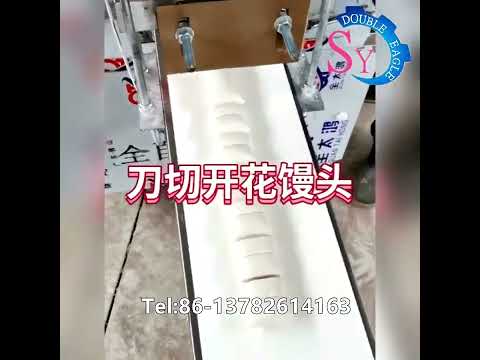 Automatic Steamed Bun