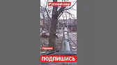 АМОН РА