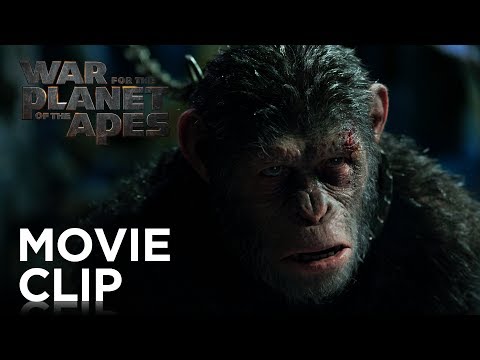 War for the Planet of the Apes | "I Came For You" Clip | 20th Century FOX thumbnail