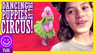 DANCING PUPPIES AT THE CIRCUS!  |  KITTIESMAMA