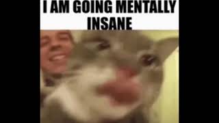shitpost, dank memes, webm, reddit shit and other memes 13