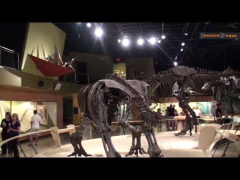 Video: Bảo tàng Lịch sử Tự nhiên Cleveland