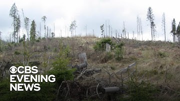 UN issues stark warning on climate change