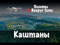 Полеты Вокруг Сочи | #2 Каштаны.