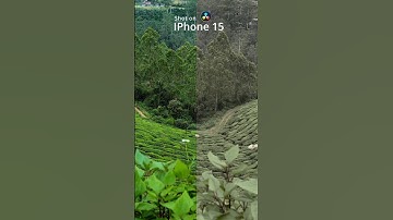 Create Magic with Color grading #davinciresolve #capcut #vn #premierepro #fcpx #editing