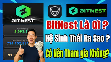 BitNest là gì ? Hệ sinh thái BitNest ra làm sao ? Tiền đâu BitNest trả cho người đầu tư